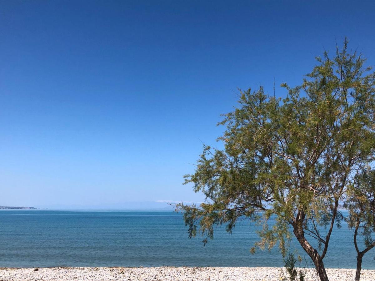 Casa Cuore Modern Stay Near The Sea Káto Ássos Екстериор снимка